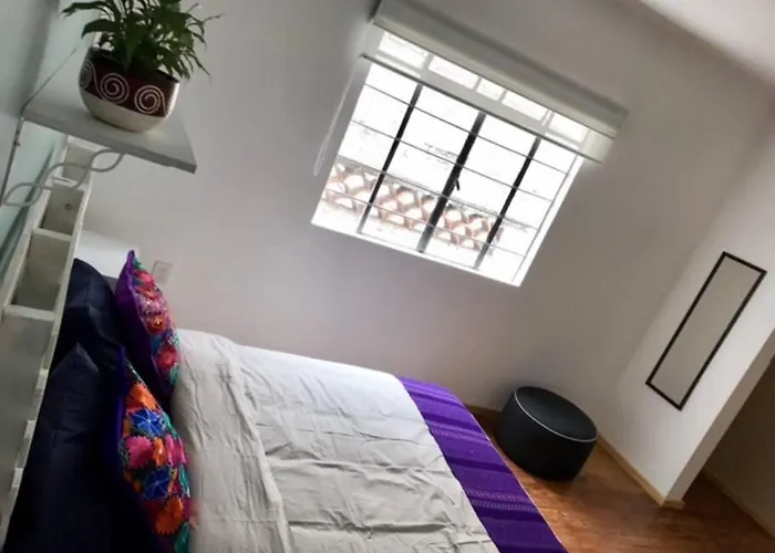 A5 Con Baño Propio Condesa Amsterdam